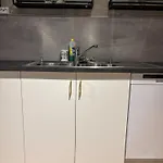 Midt I Raufoss, Stor Med Hage Apartment