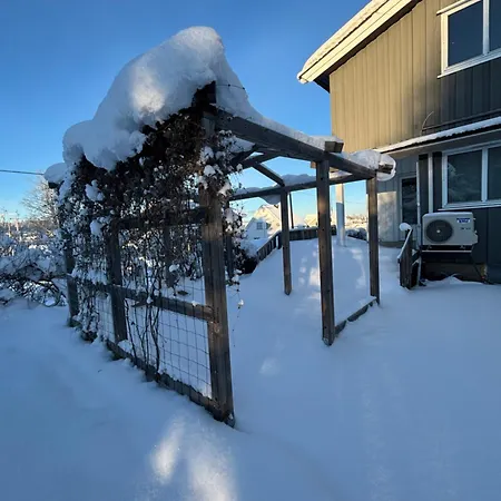 Midt I Raufoss, Stor Med Hage Leilighet